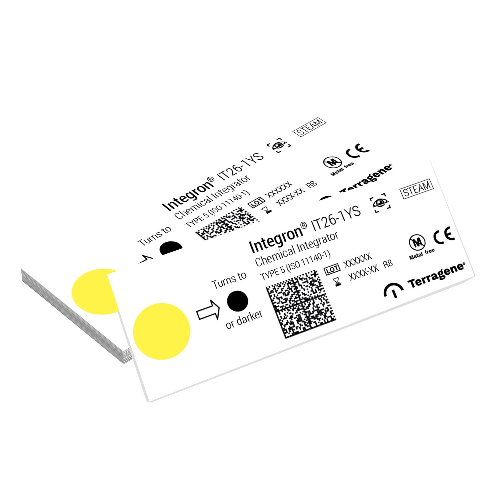 IT26-1YS Chemical Integrator for Steam